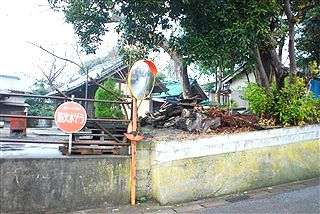 こんなん、誰か知りたいか・・・?(笑)_c0116714_2281927.jpg