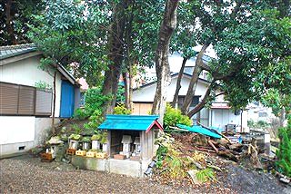 こんなん、誰か知りたいか・・・?(笑)_c0116714_2495237.jpg