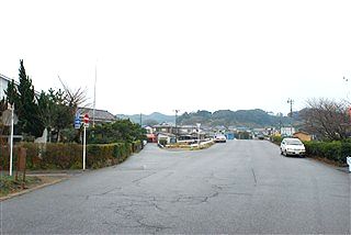 こんなん、誰か知りたいか・・・?(笑)_c0116714_2525329.jpg
