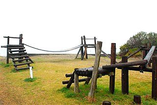 こんなん、誰か知りたいか・・・?(笑)_c0116714_255186.jpg