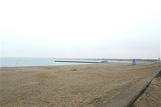 こんなん、誰か知りたいか・・・?(笑)_c0116714_257458.jpg