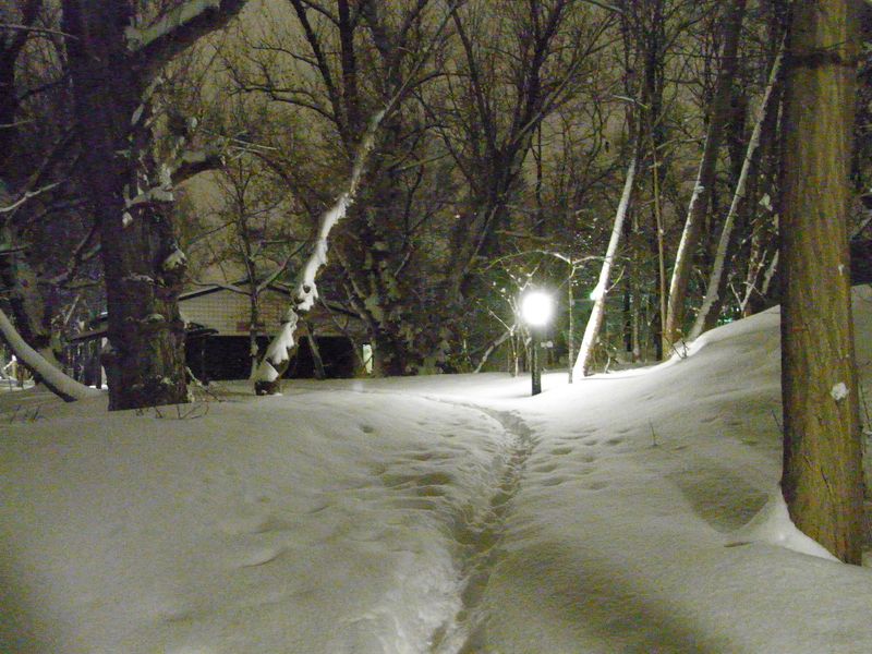 新雪の中を_c0025115_17433189.jpg