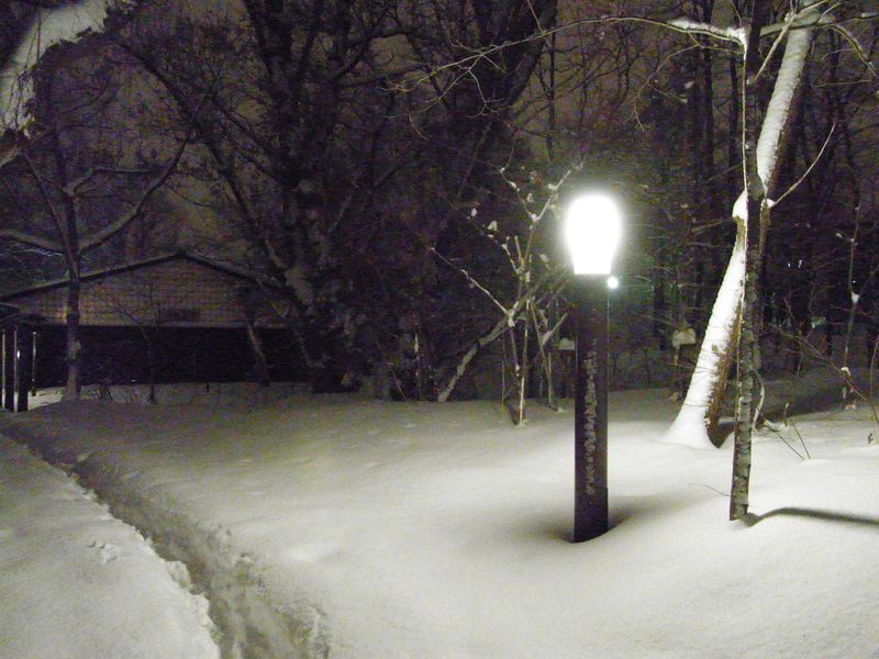 新雪の中を_c0025115_17442129.jpg