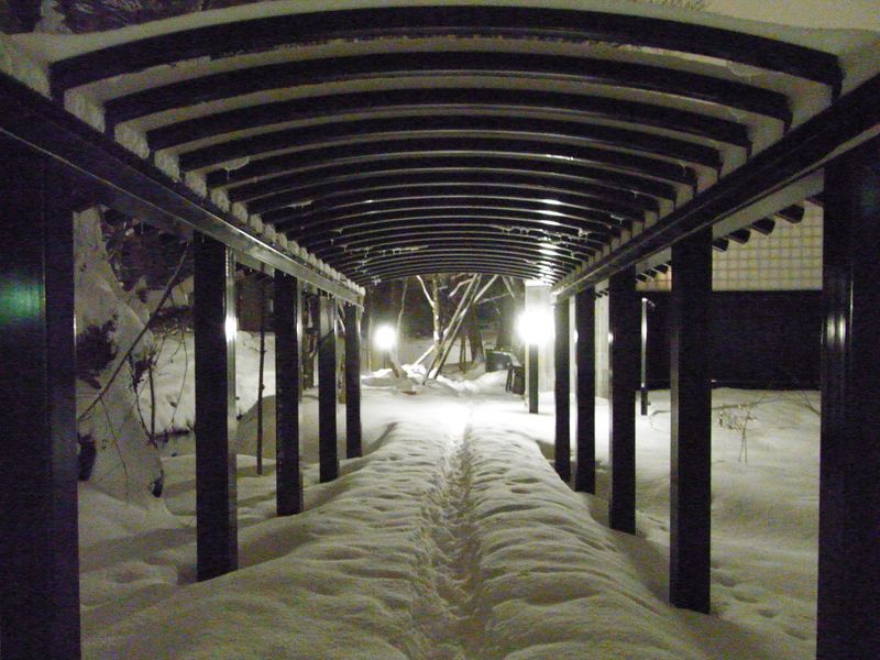 新雪の中を_c0025115_1745167.jpg
