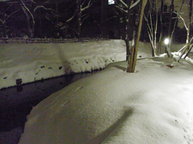 新雪の中を_c0025115_17455515.jpg