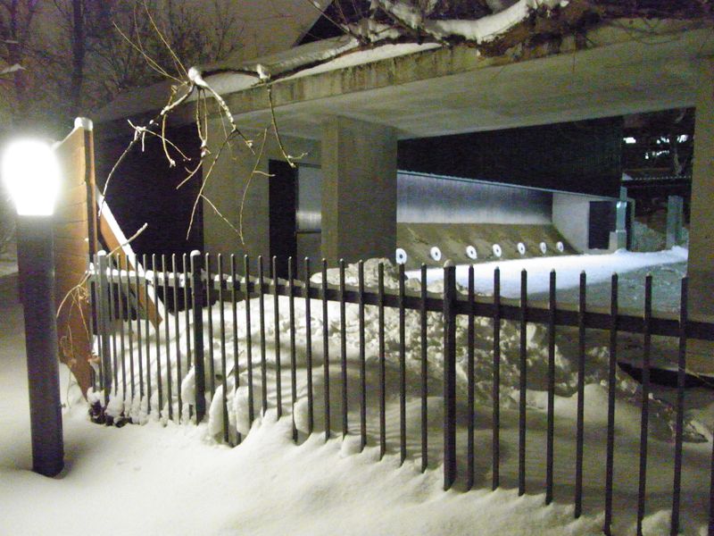 新雪の中を_c0025115_17463826.jpg