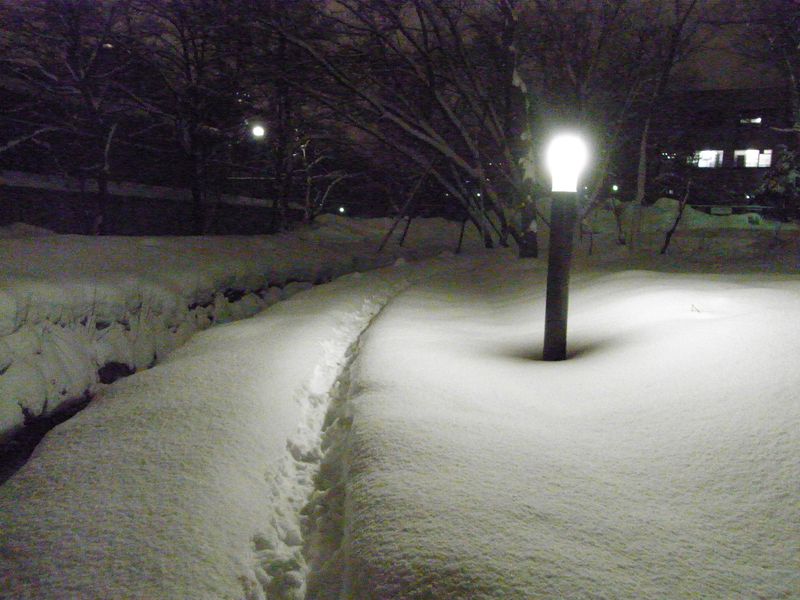 新雪の中を_c0025115_174735100.jpg