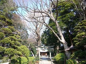 c0192215_20244596.jpg
