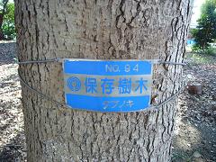 c0192215_20294820.jpg