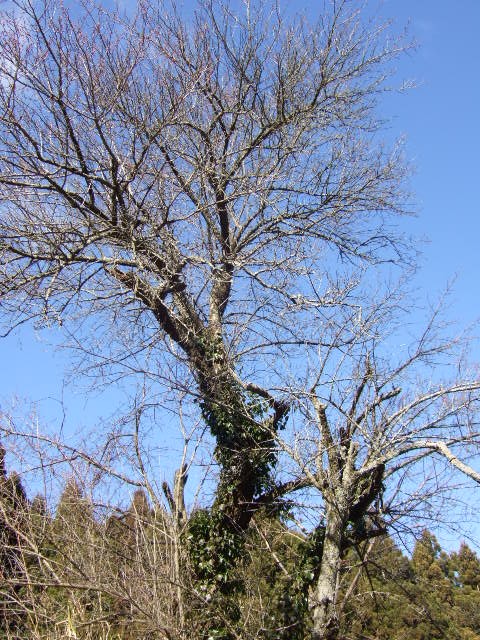 f0143119_21153679.jpg
