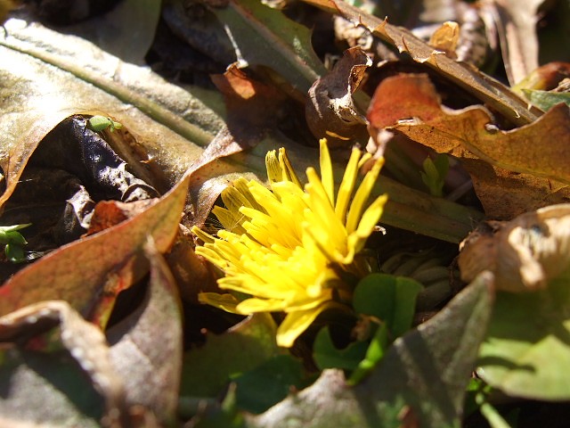 f0143119_2115506.jpg