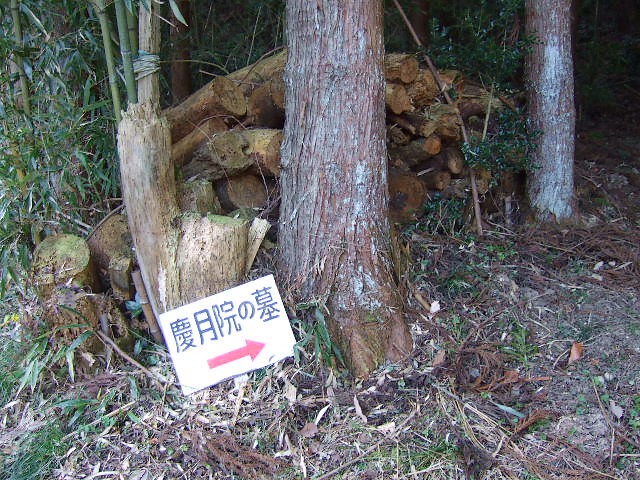 f0143119_21161964.jpg