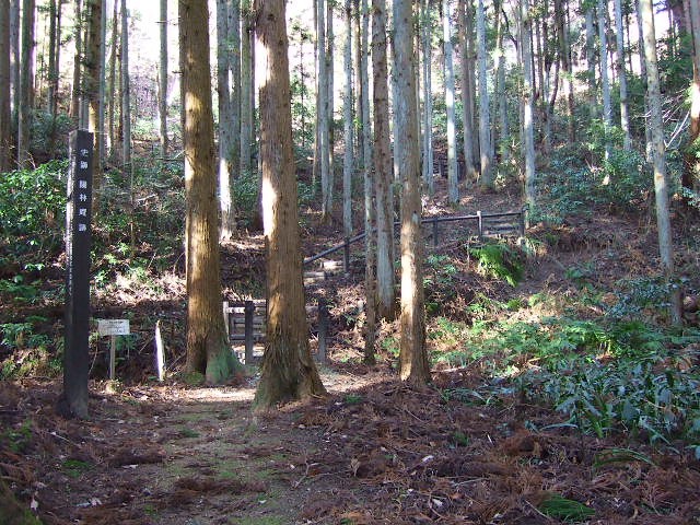 f0143119_21163051.jpg