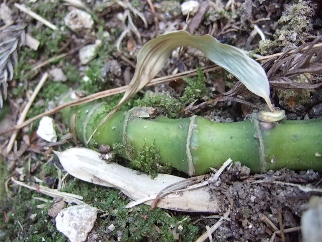 f0143119_21164189.jpg