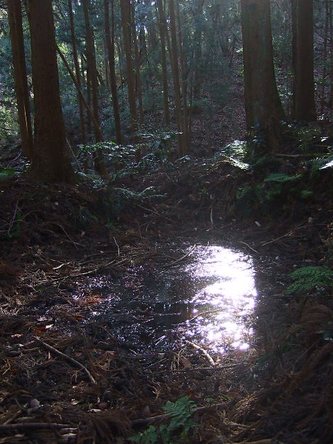 f0143119_21171810.jpg
