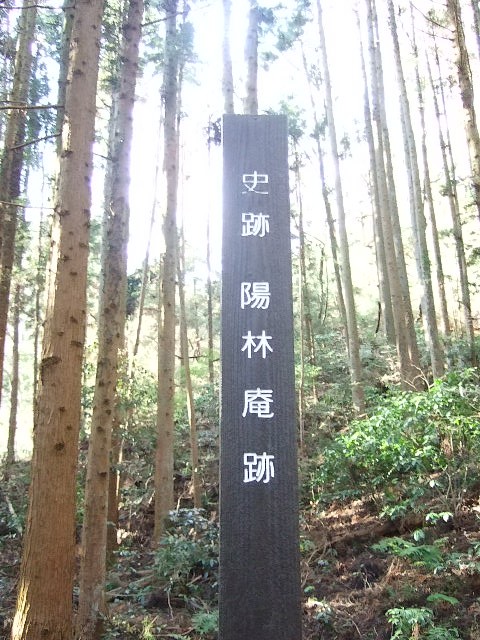 f0143119_21175884.jpg