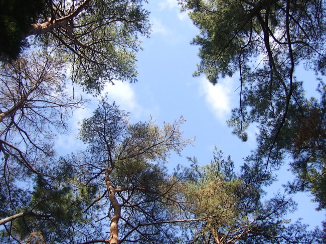 f0143119_21185011.jpg