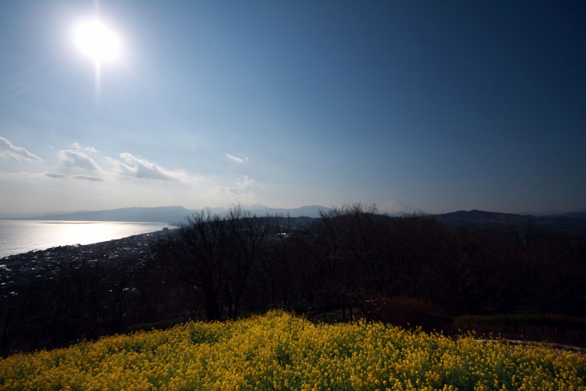b0129829_21414347.jpg