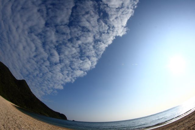 d0141829_21563549.jpg