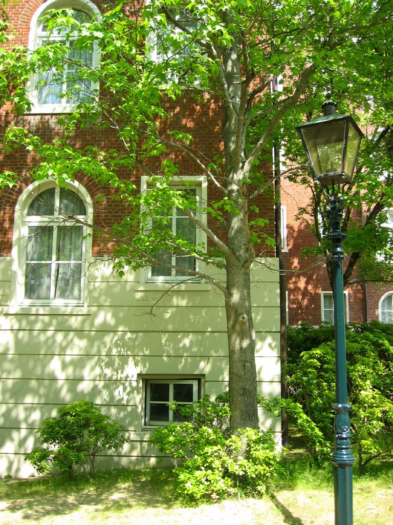 f0035830_2231859.jpg