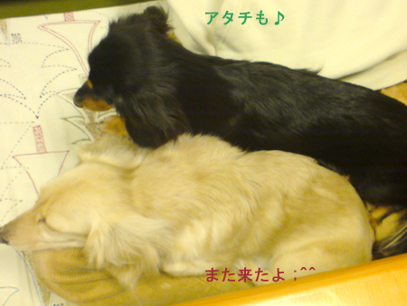 c0117831_2071048.jpg