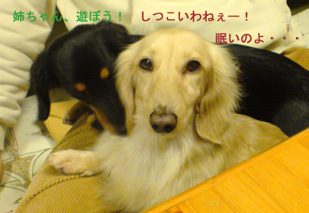 c0117831_2075339.jpg