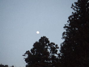 a0054240_21372423.jpg
