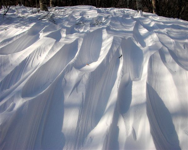 c0081645_2349153.jpg