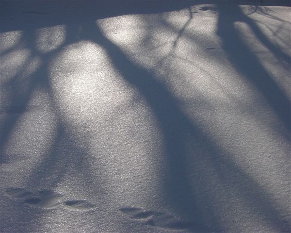 c0081645_23553360.jpg