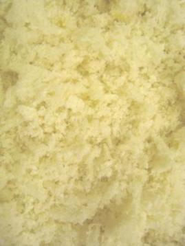 ドイツで作る和食 2008年編_f0116158_721339.jpg