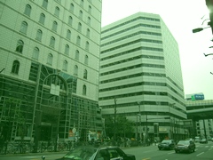 d0083265_2040722.jpg