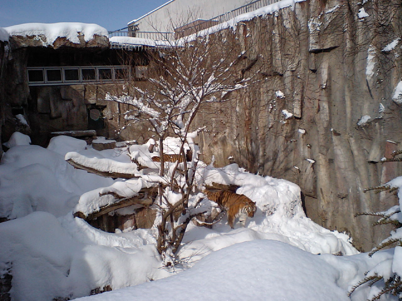 d0098665_18212533.jpg
