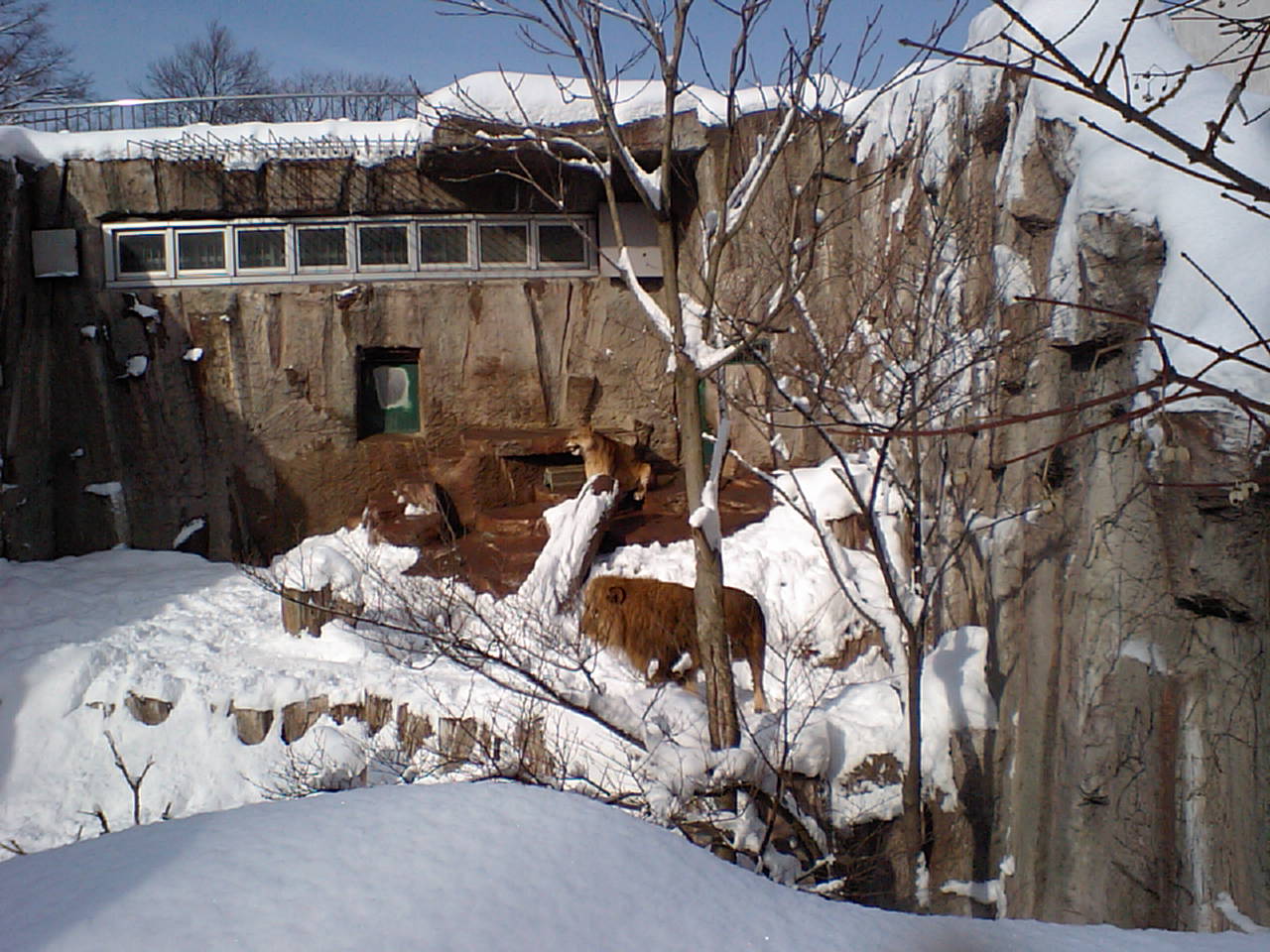 d0098665_18222171.jpg