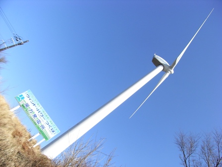c0064469_21366.jpg
