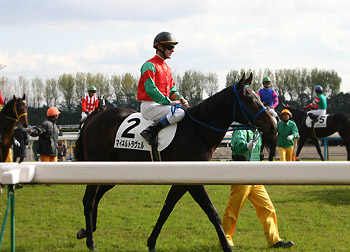 a0118270_1627558.jpg