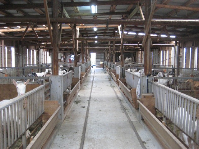 c0013687_17573589.jpg