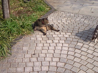 e0017290_20225140.jpg