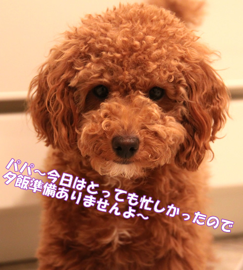 c0164491_10545363.jpg