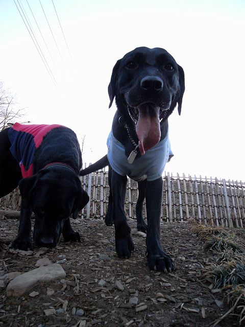 a0093592_044998.jpg