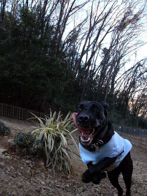 a0093592_073368.jpg