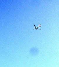 c0148705_2023138.jpg