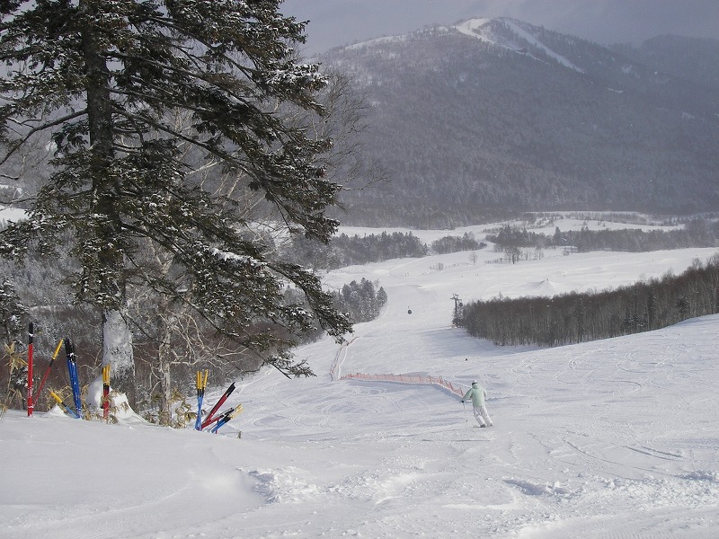 c0153411_20433214.jpg