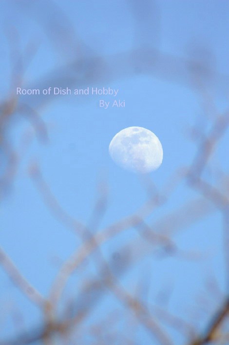 カワセミ／真昼の月　相模川にて。_b0033423_1421575.jpg