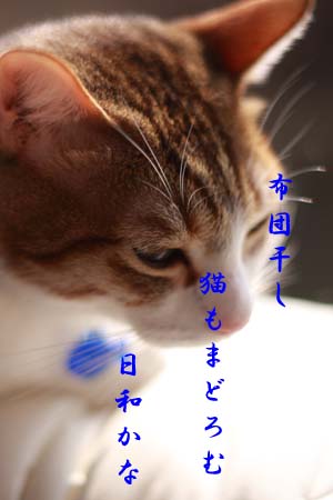 c0136933_19564186.jpg