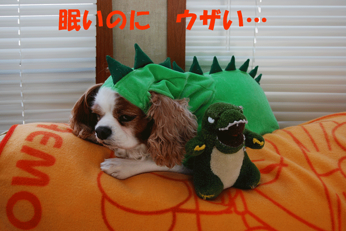 c0136838_2117499.gif