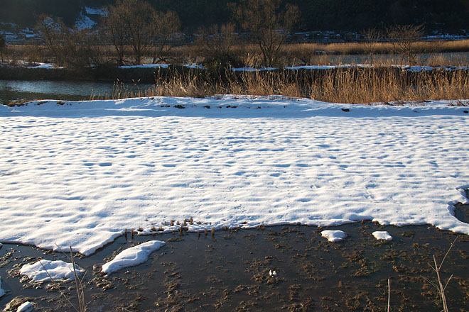 c0067040_21565234.jpg