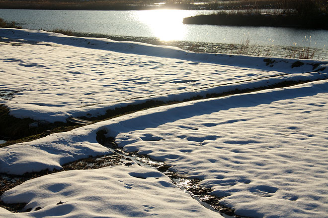 c0067040_215733.jpg