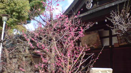 b0037544_17443861.jpg