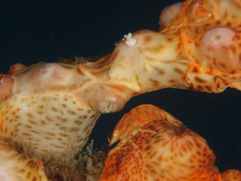 d0058549_21251535.jpg