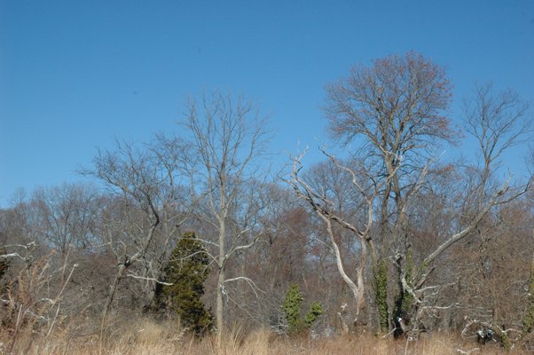 c0055857_741451.jpg